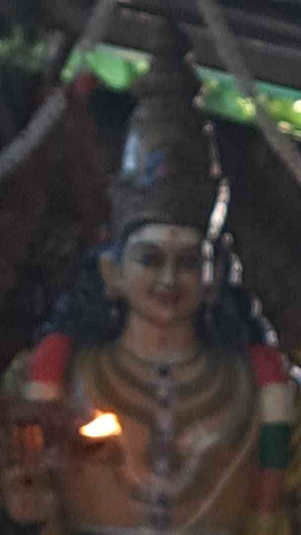 Kavadi procession — CPKT 2025